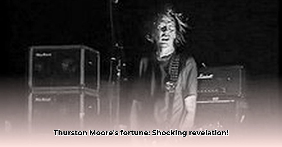 thurston-moore-net-worth